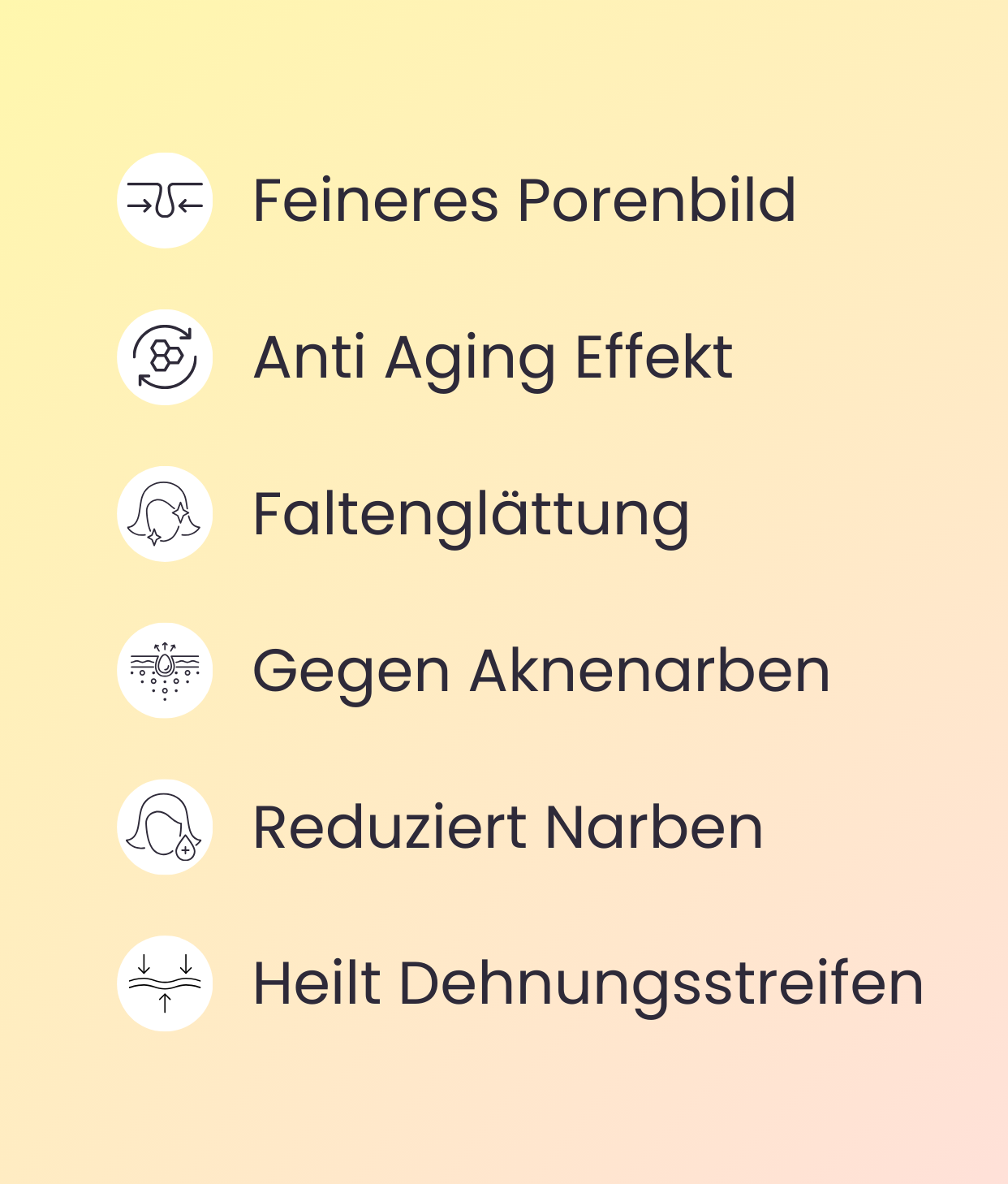 Ein banner zeigt die möglichen Erfolge die durch Microneedling mit einem Dermaroller erzielt werden können: feineres Porenbild und Reduktion der Porengröße, nachhaltiger und natürlicher Anti Aging Effekt dank Zellerneuerung, Glättung von Falten und Linien durch Neubildung von Kollagen, Elastin und Hyaluronsäure, Reduktion von Narben und Aknenarben durch Neubildung der Hautzellen, Heilung von Dehnungsstreifen durch Mesotherapie
